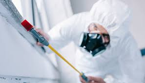 Best Pest Exclusion Services  in Wright, FL